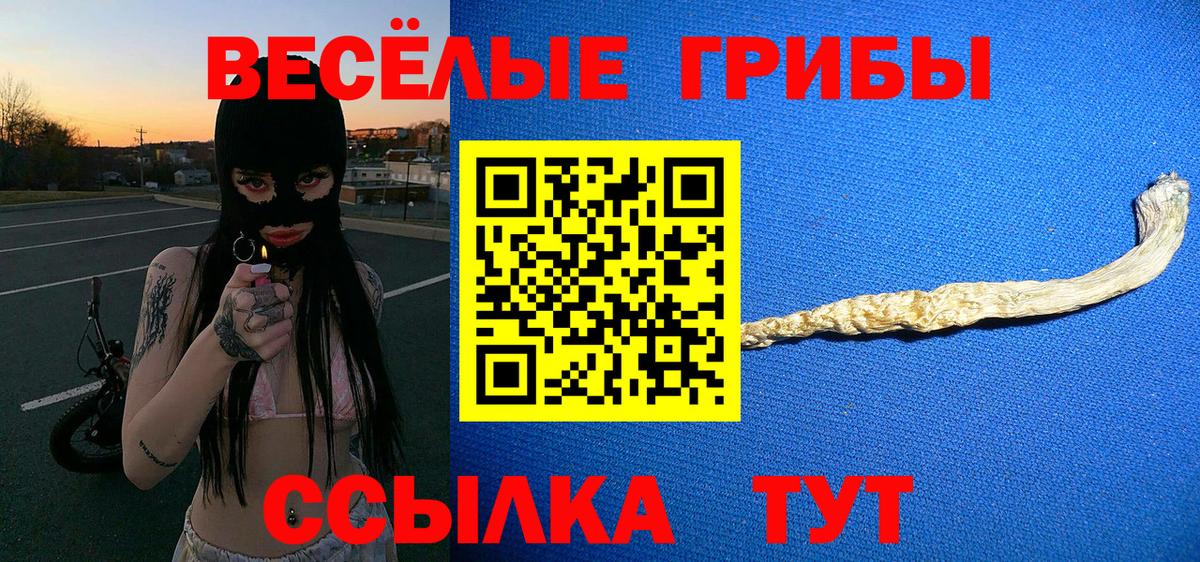 Псилоцибиновые грибы MAGIC MUSHROOMS  Вход с VPN  Волоколамск 